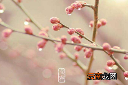 年前立春是寡妇年吗-一年无春为什么说寡妇年2022