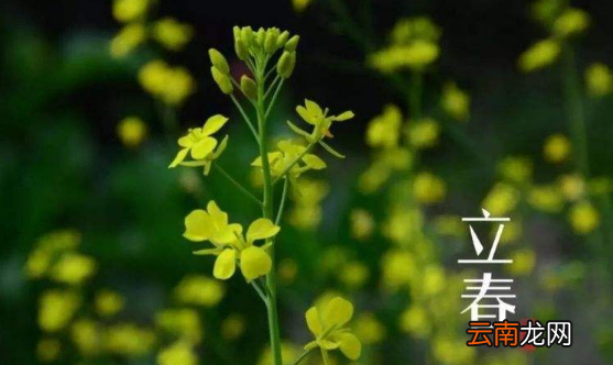 躲春同一个属相还要分开吗-躲春同一个属相能在一起吗