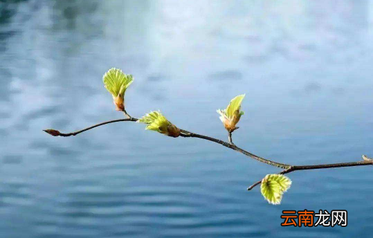 躲春可以上厕所吗-躲春的时候可以拉屎吗