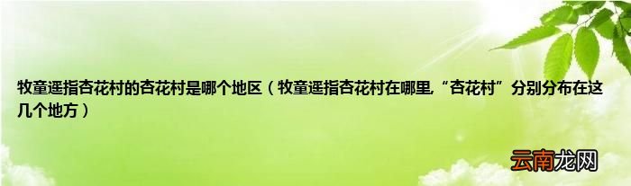牧童遥指杏花村在哪里,“杏花村”分别分布在这几个地方 牧童遥指杏花村的杏花村是哪个地区