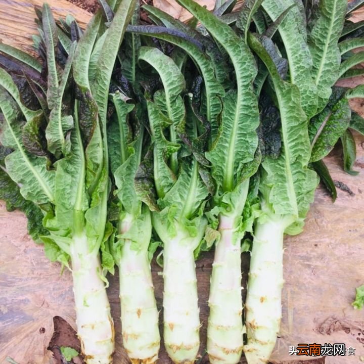 涮火锅必放的8种蔬菜 打火锅适合买什么菜