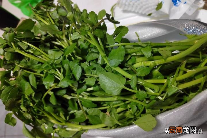 涮火锅必放的8种蔬菜 打火锅适合买什么菜