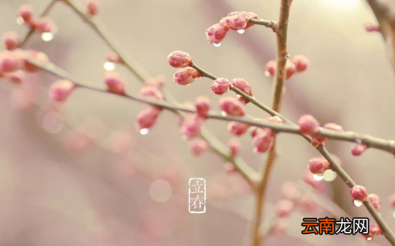 躲春可以做家务吗-躲春可以做点手工事吗