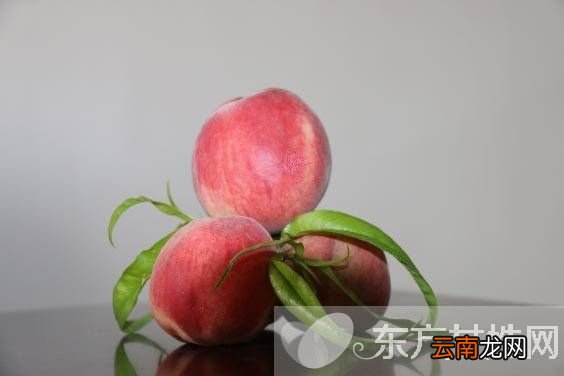 吃桃子的5个禁忌 桃子属于什么种类的水果