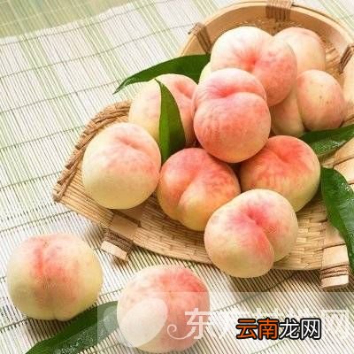 吃桃子的5个禁忌 桃子属于什么种类的水果