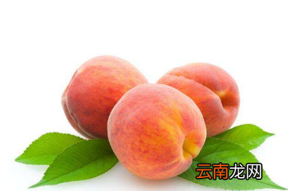 桃子属于凉性水果吗 桃子属于什么种类的水果