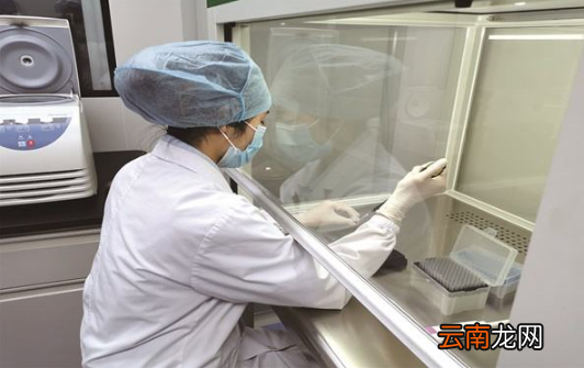 48小时核酸检测可以混检吗-48小时核酸检测混检出纸质报告吗