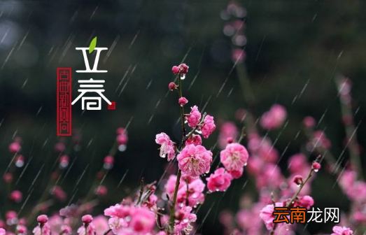 躲春可以听歌吗-躲春可以听小说吗