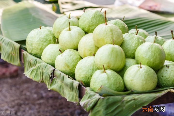 十种维C高的常见水果 维生素c的水果有哪些