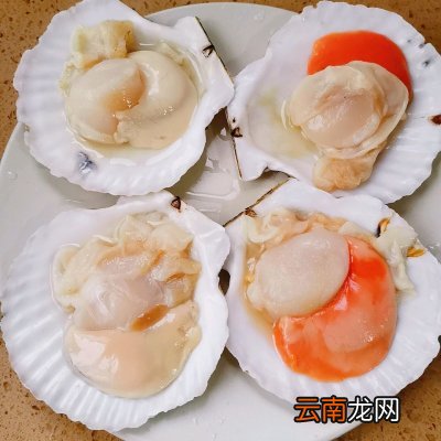 蒜蓉粉丝蒸扇贝这样做也太好吃了 扇贝蒸多长时间最好吃