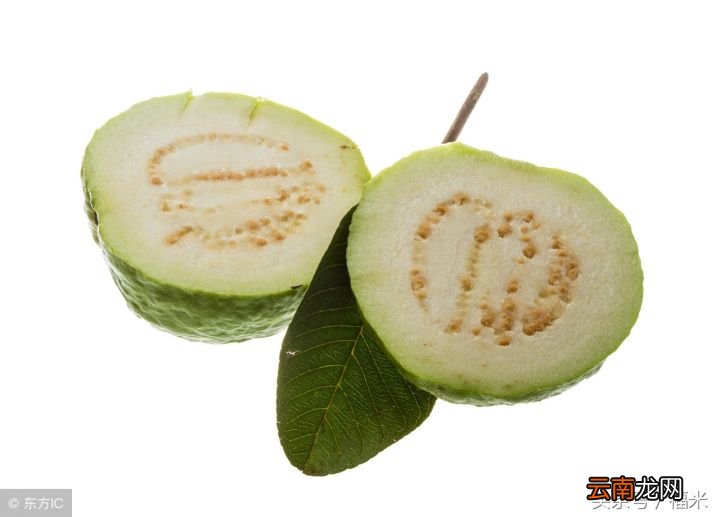 吃芭乐有什么好处和禁忌 女人吃芭乐的好处和坏处