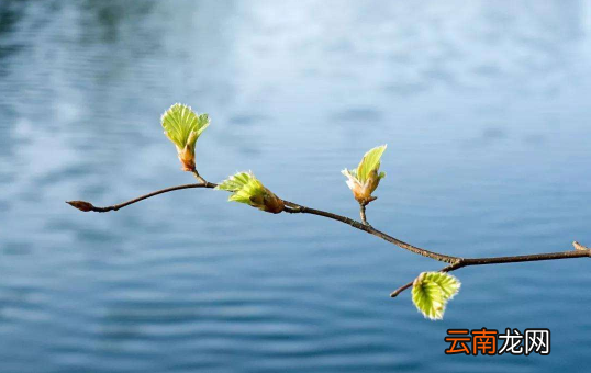 躲春可以带手表吗-躲春可以定闹钟吗