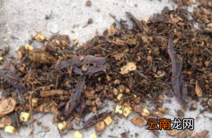 没有熬过的中药可以养花吗-中药渣怎么种花草