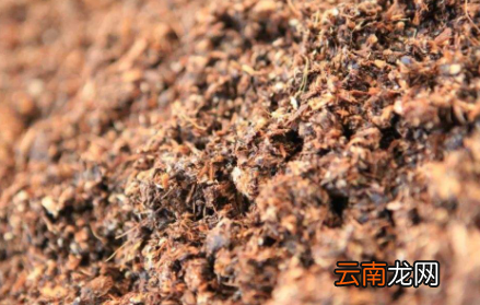 没有熬过的中药可以养花吗-中药渣怎么种花草