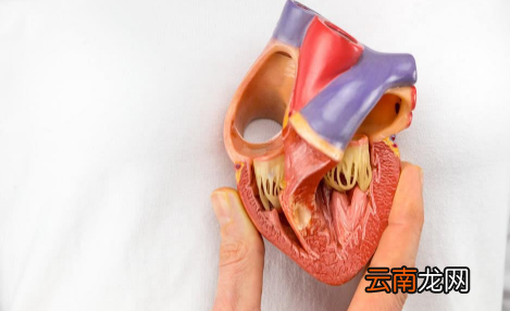 心率180持续多久致死-跑步心率180左右意味着什么