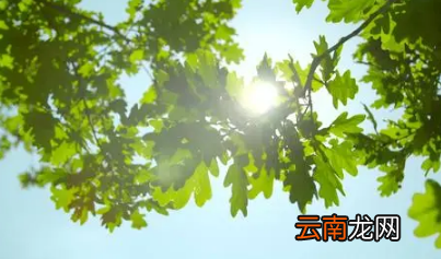 2022年厦门什么时候开始升温-厦门每年几月开始变热