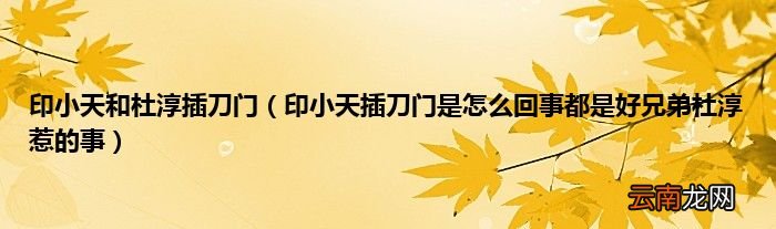 印小天插刀门是怎么回事都是好兄弟杜淳惹的事 印小天和杜淳插刀门