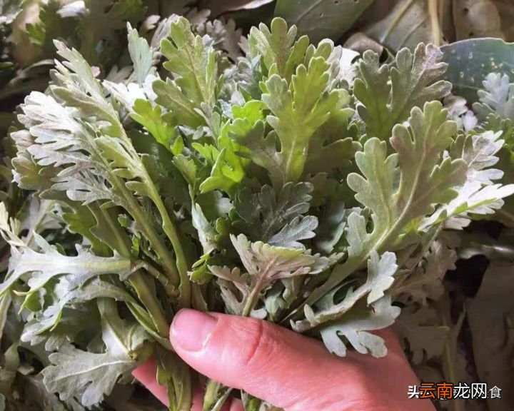涮火锅必放的8种蔬菜 火锅配菜有哪些