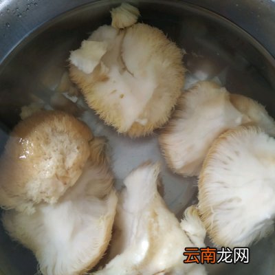 简单好吃的猴头菇炖排骨 猴头菇和什么煲汤最好