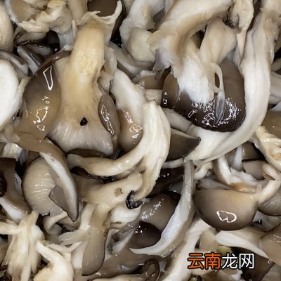 最靠谱最好吃最详细的油炸香酥蘑菇做法 炸蘑菇怎么炸酥脆好吃