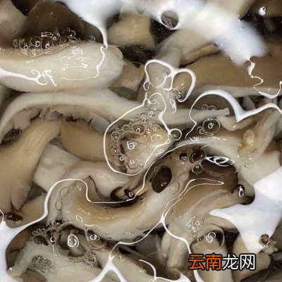 最靠谱最好吃最详细的油炸香酥蘑菇做法 炸蘑菇怎么炸酥脆好吃