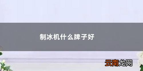 制冰机品牌 制冰机什么牌子好