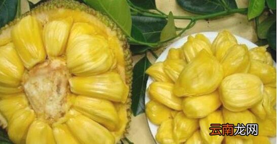 菠萝蜜剥开没熟怎么办 菠萝蜜切开没熟怎么办