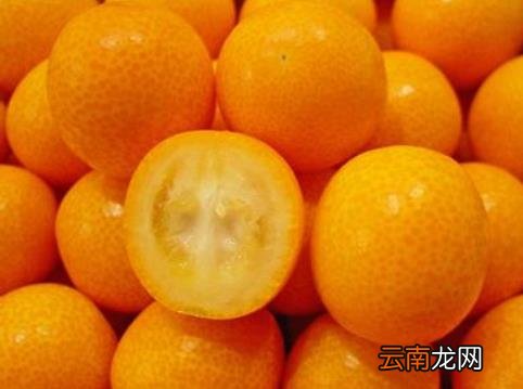 金桔营养价值食用价值 金桔的营养价值