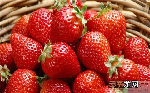 草莓吃多了会怎样 草莓吃多了会上火吗