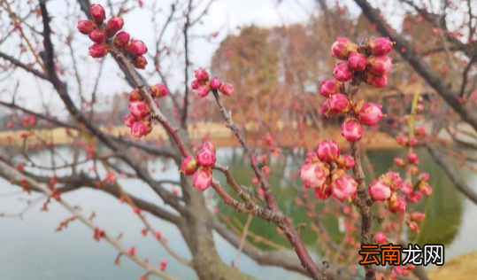 躲春的时候可以说话吗-躲春的时候大声说话了怎么办