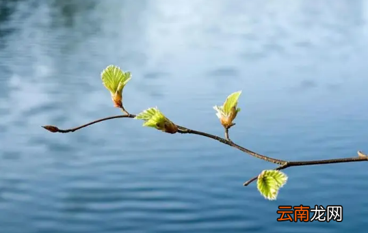 只有犯太岁的人要躲春吗-不犯太岁也要躲春吗