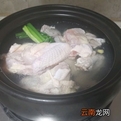 做法简单零失败的清炖鸡汤 母鸡汤怎么炖最有营养又好吃