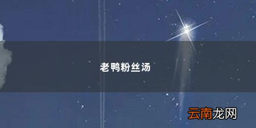 老鸭粉丝汤