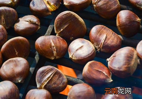 熟板栗怎么保存不会坏,熟板栗怎么去皮最快