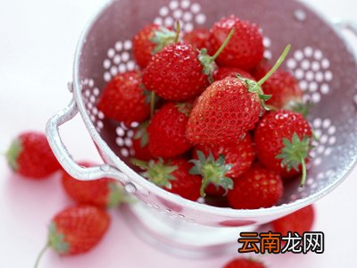 春季健康饮食养生可多吃些草莓 草莓吃多了上火吗
