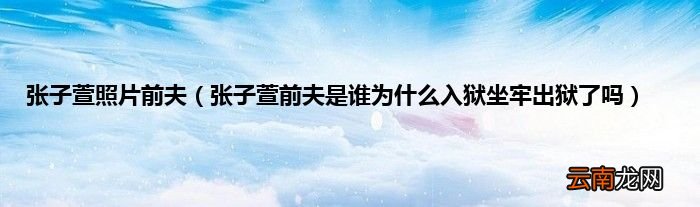 张子萱前夫是谁为什么入狱坐牢出狱了吗 张子萱照片前夫