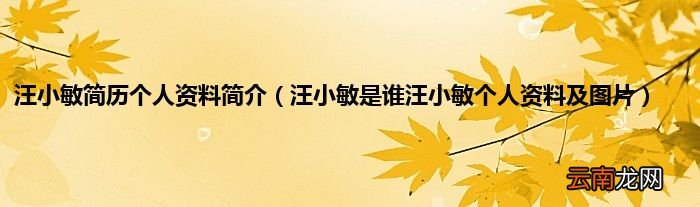 汪小敏是谁汪小敏个人资料及图片 汪小敏简历个人资料简介
