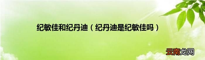 纪丹迪是纪敏佳吗 纪敏佳和纪丹迪