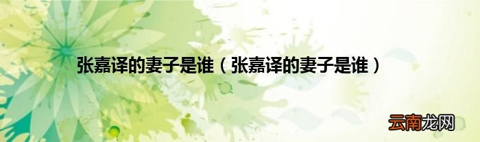 张嘉译的妻子是谁 张嘉译的妻子是谁