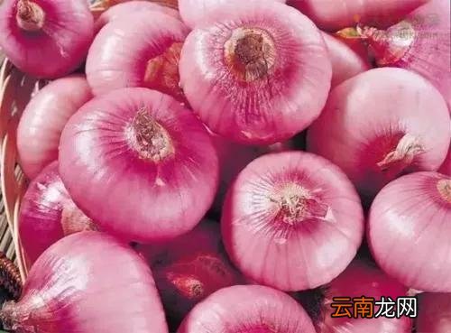 洋葱牛肉馅儿大包子 牛肉包包子配什么菜好