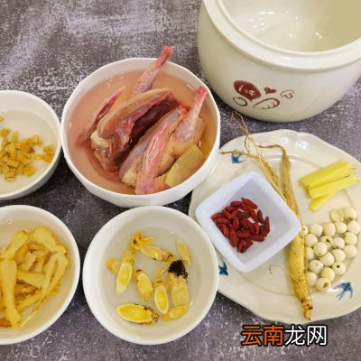 鸽子汤这样做营养翻倍养生滋补 乳鸽煲汤用什么材料