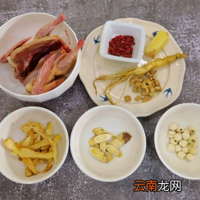 鸽子汤这样做营养翻倍养生滋补 乳鸽煲汤用什么材料