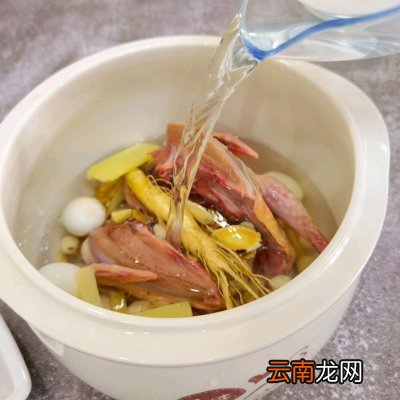 鸽子汤这样做营养翻倍养生滋补 乳鸽煲汤用什么材料