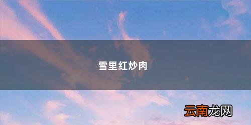 雪里红炒肉末的做法视频 雪里红炒肉