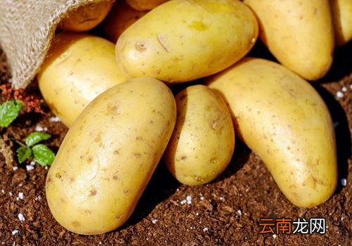 蒸土豆需要去皮吗,蒸土豆需要多长时间能熟