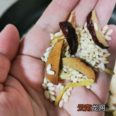 刮油祛湿炒米姜丝大枣茶 生姜红枣茶能去湿气吗