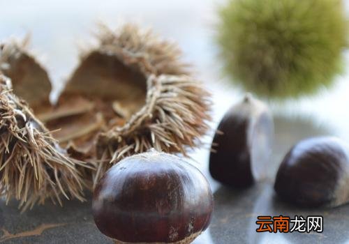板栗干了硬了还能吃吗,板栗干了怎么变软