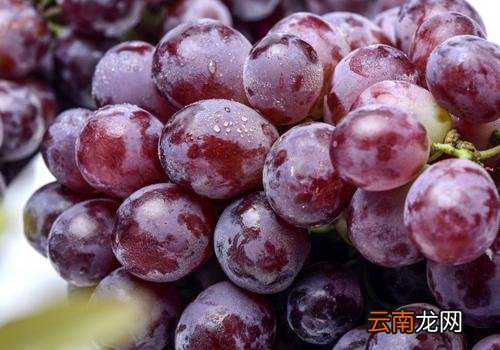 洗葡萄用面粉还是淀粉,洗葡萄用什么洗最干净