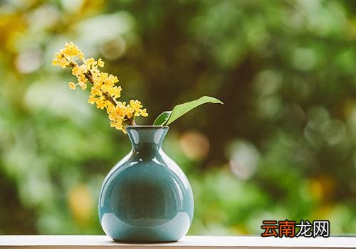 秋分是中秋节吗,秋分是什么节