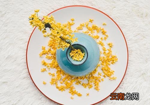 秋分是中秋节吗,秋分是什么节